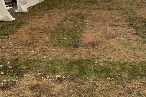 14d82642-62c0-4d9d-ad8f-acb526d33bd8