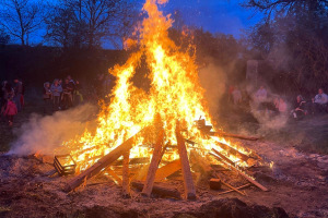 01fe31c9-455f-4fed-92f3-e414b2fb7e2b