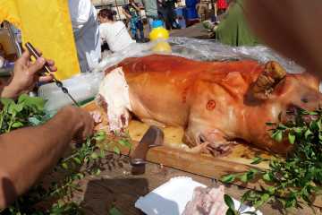 Schlossfest Umzug 2018